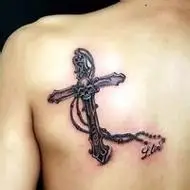 6686体育平台金牌作者Ivy