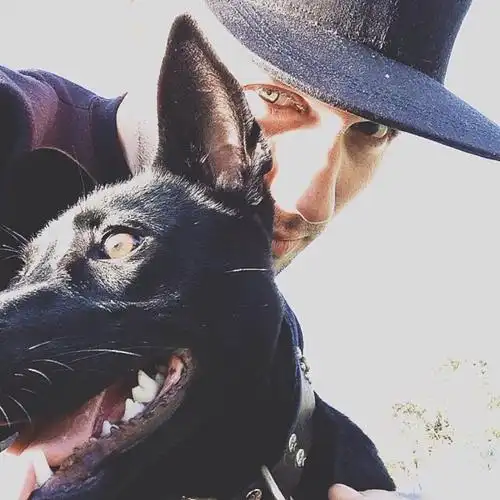 6686体育平台初级作者Noah