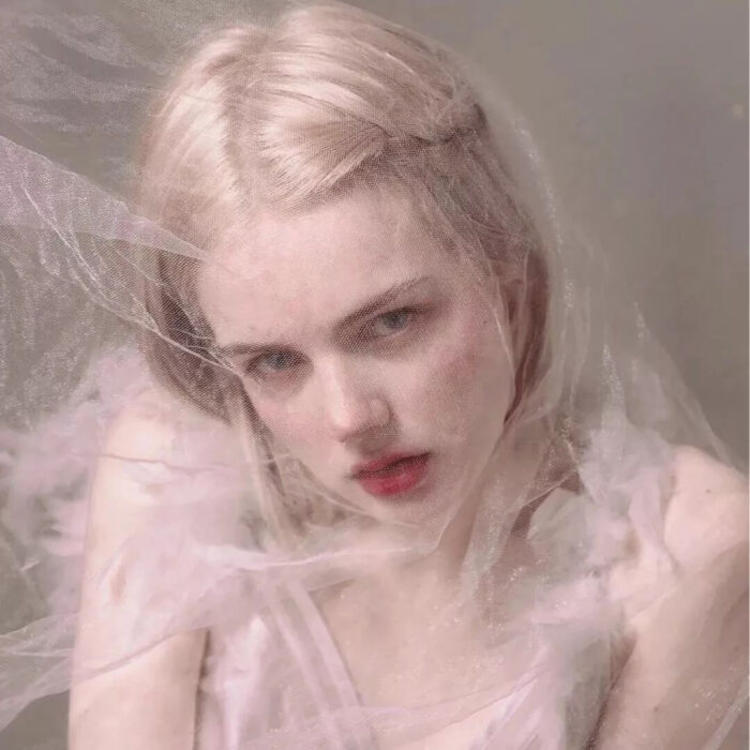 6686体育平台高级作者Cordelia