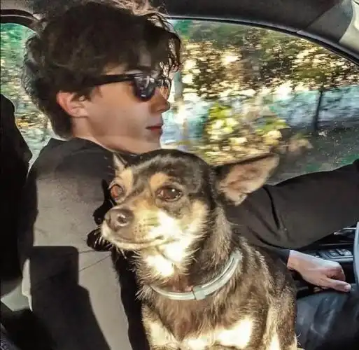 6686体育平台铜牌作者长辞笙