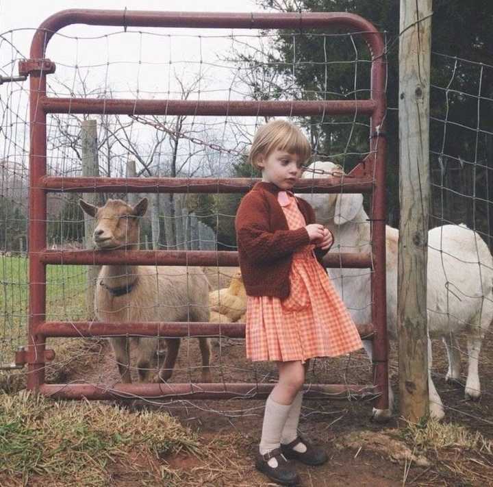 6686体育平台中级作者Ursula