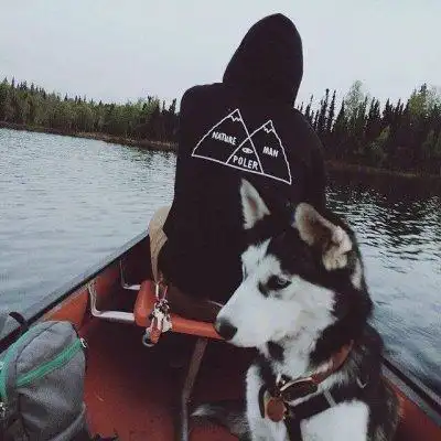 6686体育平台初级作者Claire