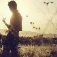 6686体育铜牌作者风停了