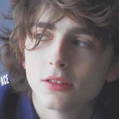 6686体育官方作者Frances