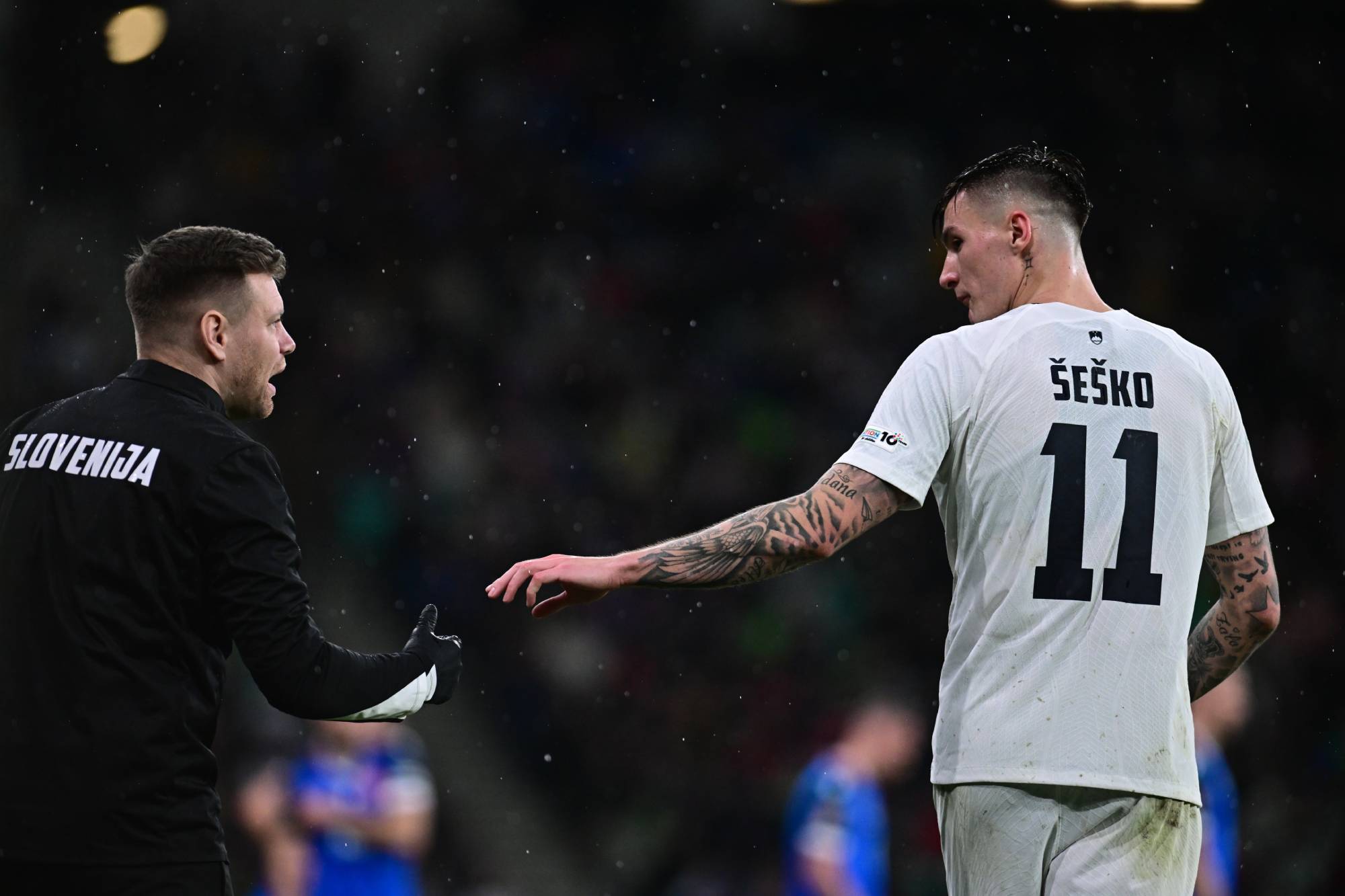 斯洛文尼亚官方：谢什科因伤无法竞赛练习，无缘本月世预赛